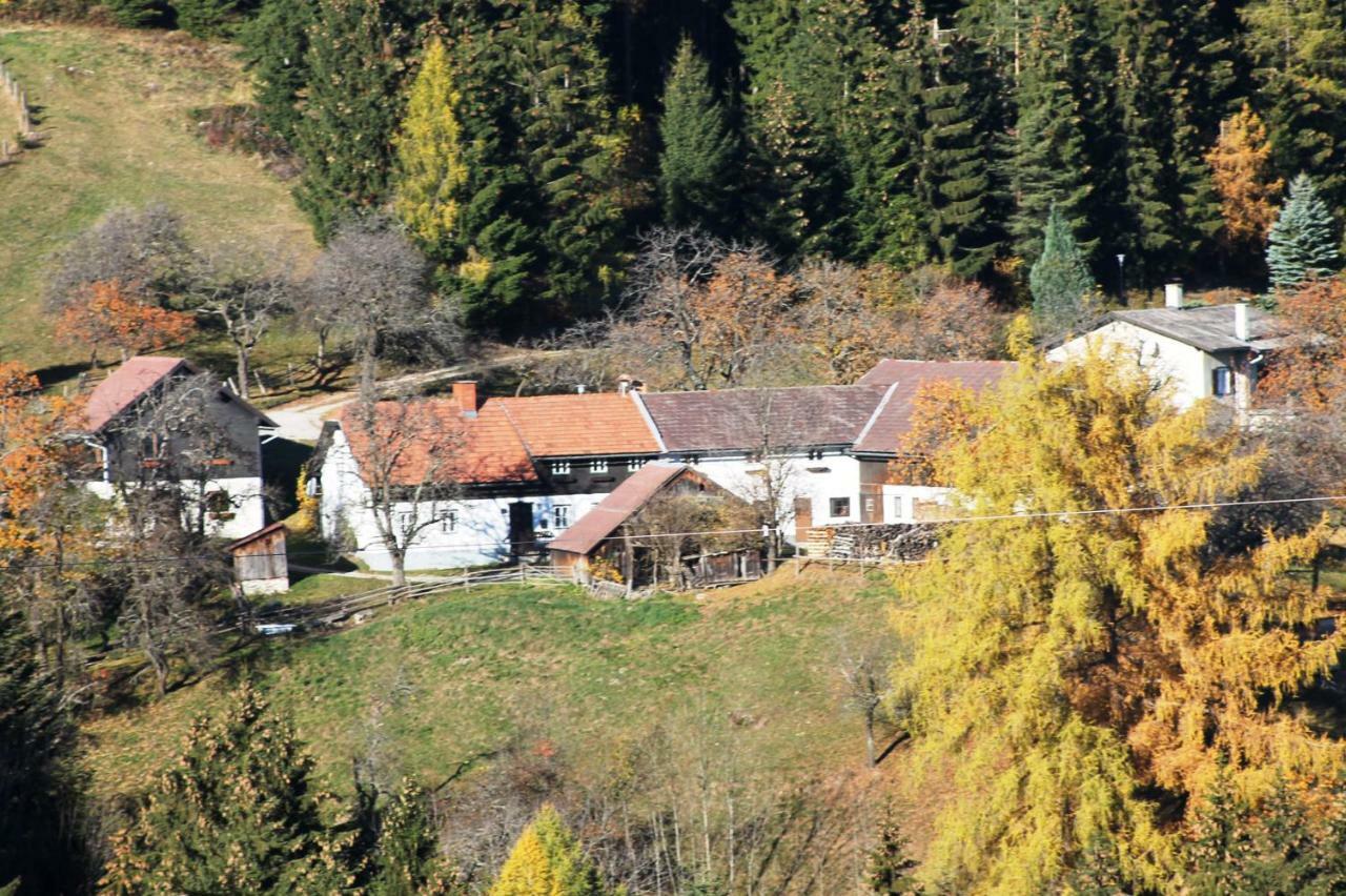 Ferienwohnung Holzer Payerbach Εξωτερικό φωτογραφία